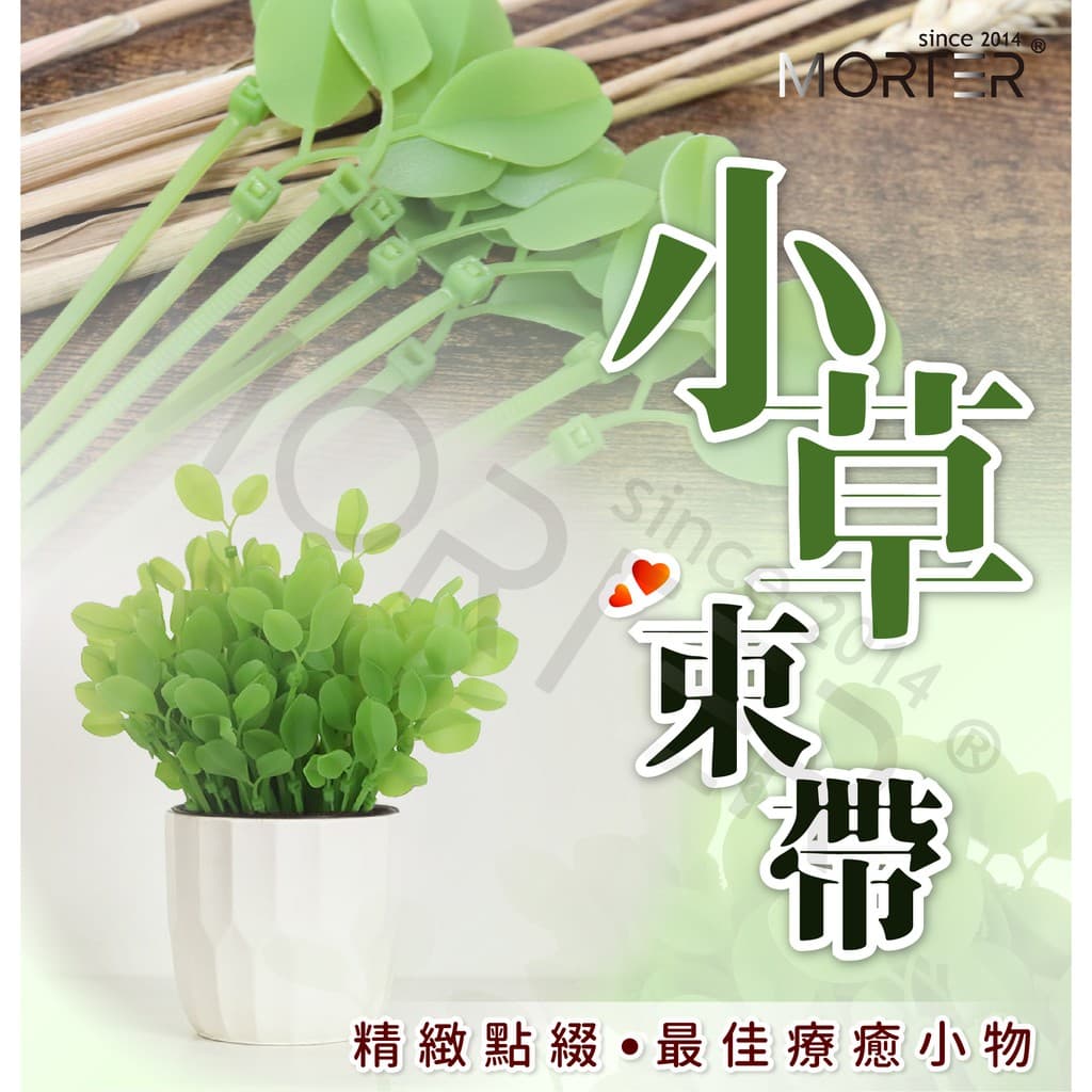 縮圖 1