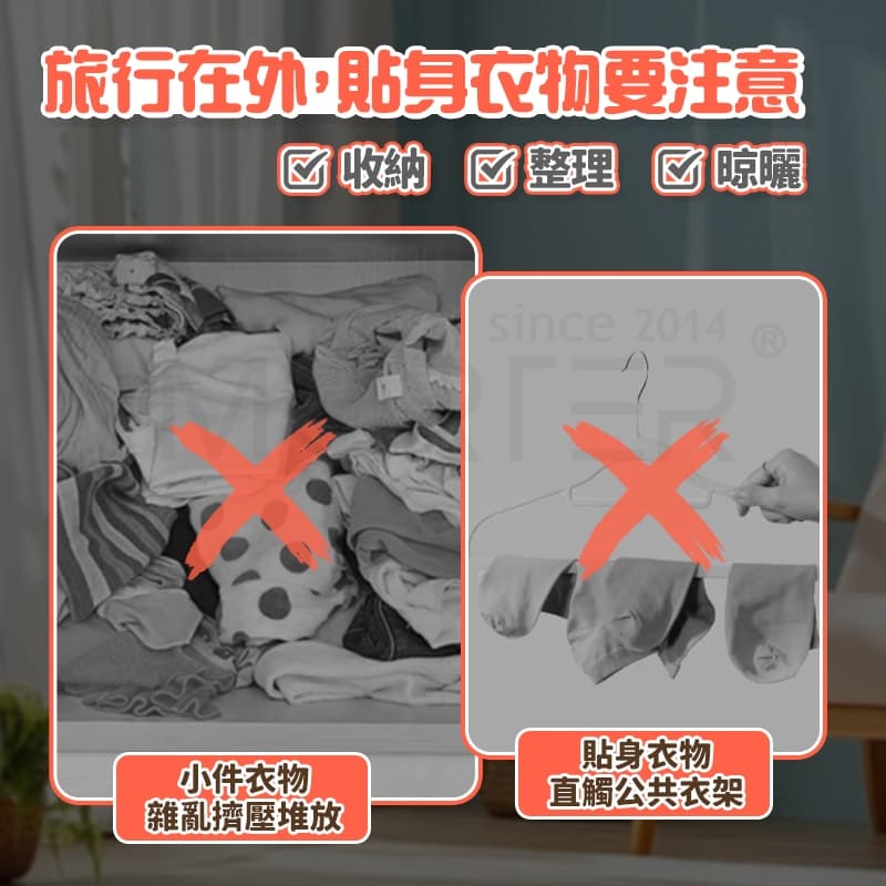 縮圖 2